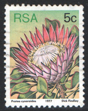 South Africa Scott 479 Used